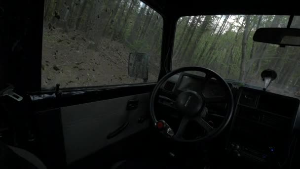 Vista Interior Carro Estacionado Floresta — Vídeo de Stock