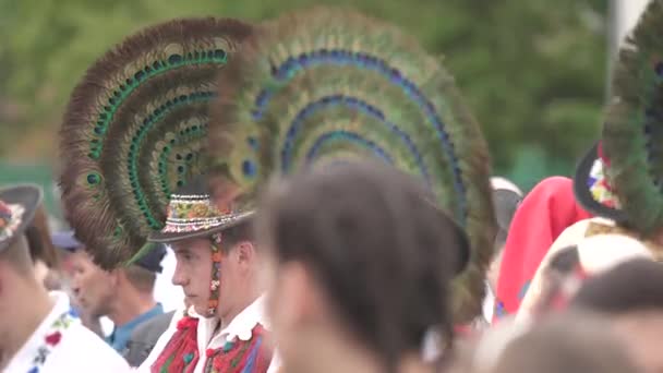 Homens Com Chapéus Penas Pavão — Vídeo de Stock