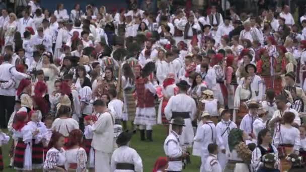 Πλήθος Ρουμάνων Παραδοσιακές Στολές — Αρχείο Βίντεο