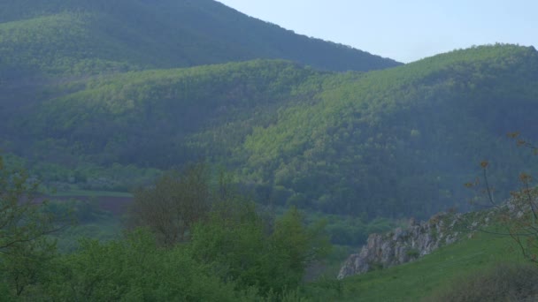 Veduta Una Foresta Rimetea Romania — Video Stock