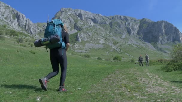 Reisende Gehen Auf Einem Pfad — Stockvideo