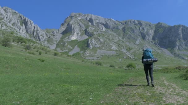 Imágenes Visión Trasera Mujer Senderismo Verde Paisaje Montañoso — Vídeos de Stock