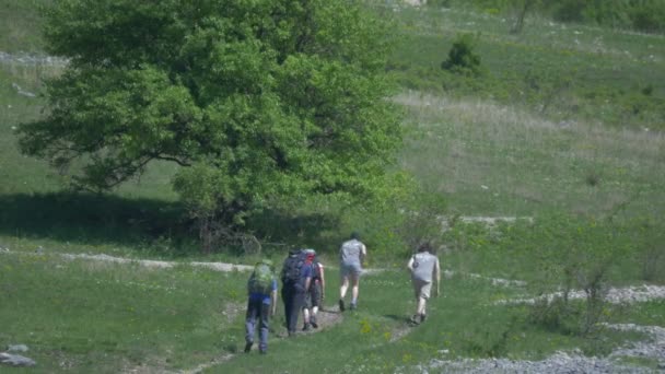 Five People Hiking Path — Vídeo de stock