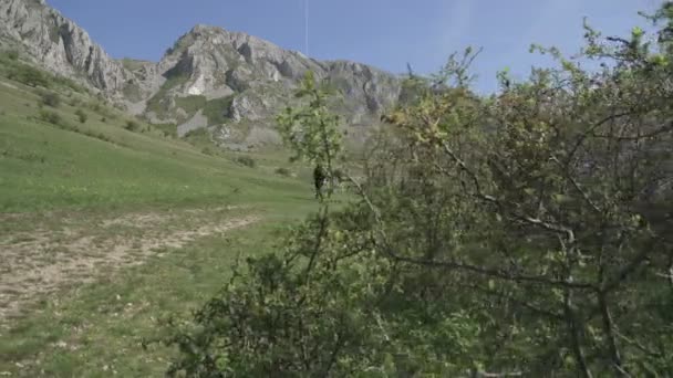 Mulher Caminhando Caminho — Vídeo de Stock