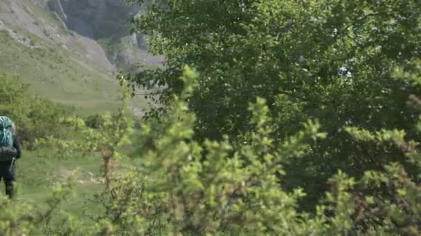 Πίσω Όψη Πλάνα Της Γυναίκας Πεζοπορία Στο Καταπράσινο Ορεινό Τοπίο — Αρχείο Βίντεο