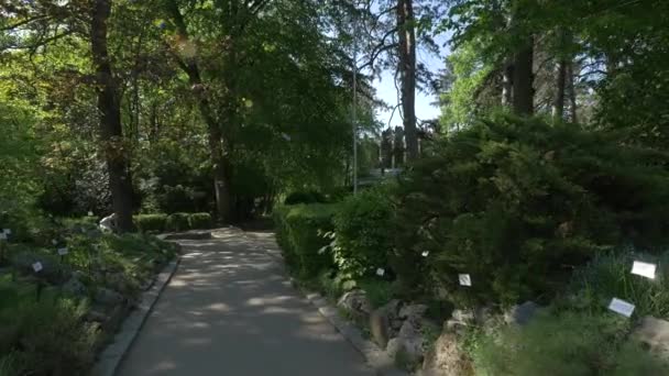 Callejón Jardín Botánico Cluj Napoca — Vídeo de stock