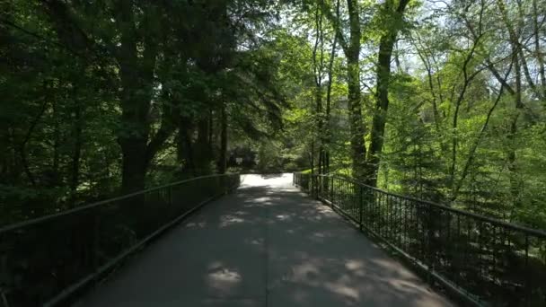 Ponte Jardim Botânico Cluj Napoca — Vídeo de Stock