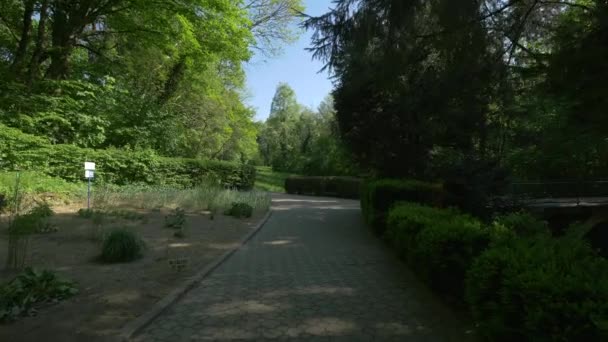 Cluj Naples Ca植物园里的小巷 — 图库视频影像