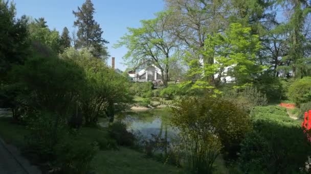 Vista Lago Jardim Botânico — Vídeo de Stock