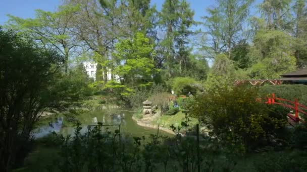 Lac Dans Jardin Botanique — Video