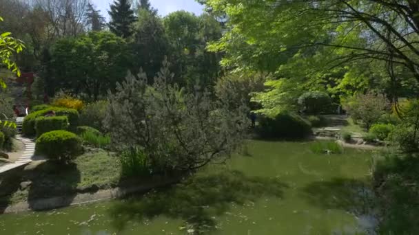 Japon Bahçesi Gölü — Stok video