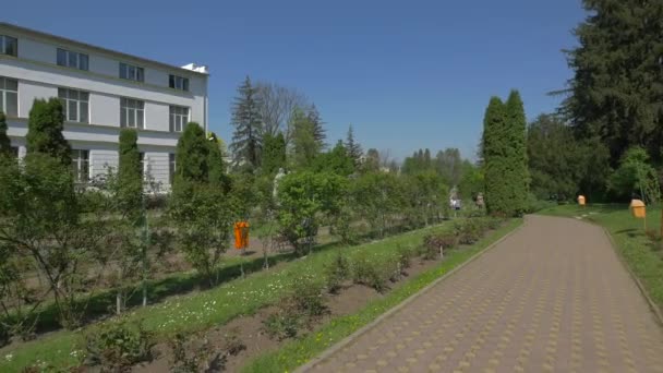 Binnenplaats Van Botanische Tuin — Stockvideo