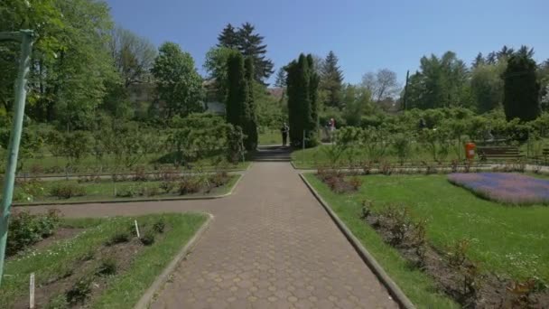 Steegje Bij Botanische Tuin Cluj Napoca — Stockvideo