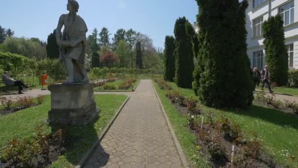 Aleea Grădinii Botanice Cluj Napoca — Videoclip de stoc