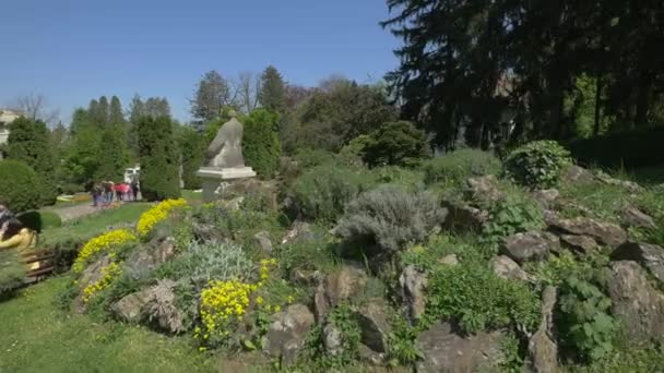 Pedras Plantas Jardim Botânico Cluj Napoca — Vídeo de Stock