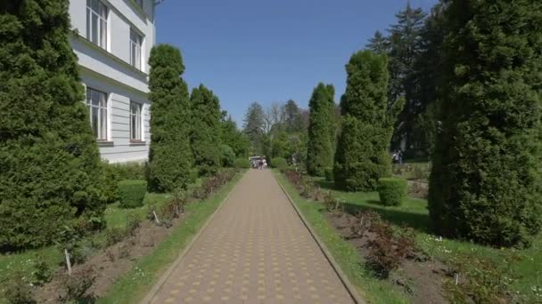 Beco Pelo Edifício Jardim Botânico Cluj Napoca — Vídeo de Stock