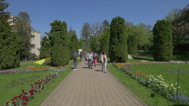 Besucher Des Botanischen Gartens Cluj Napoca — Stockvideo