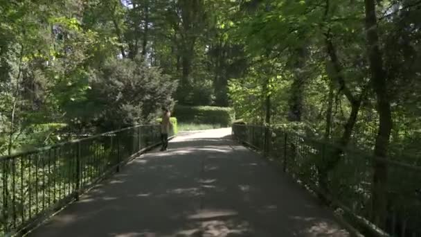 Ponte Nella Foresta — Video Stock