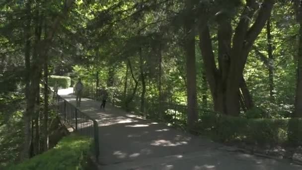 Brücke Botanischen Garten — Stockvideo