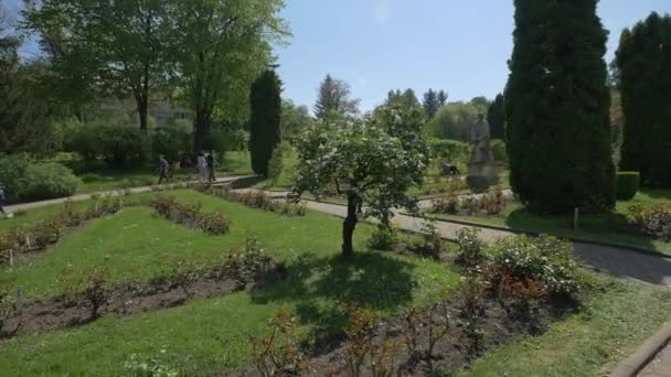 Pessoas Andando Becos Jardim Botânico — Vídeo de Stock