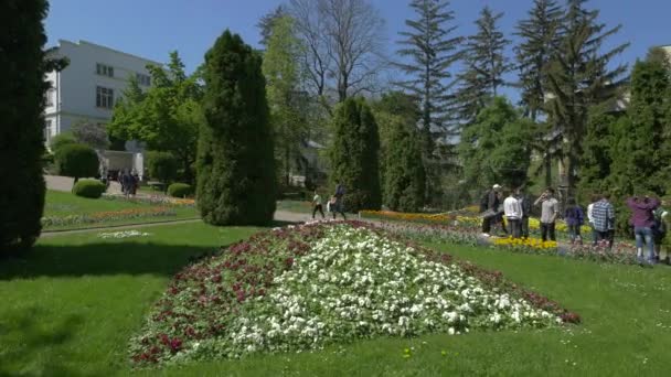 Люди Які Відвідують Ботанічний Сад Клуж Напока — стокове відео