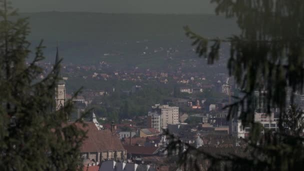 Cluj Napoca Που Παρατηρείται Πίσω Από Κωνοφόρα Δέντρα — Αρχείο Βίντεο
