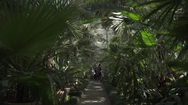 Děti Navštěvující Botanickou Zahradu Cluj Napoca — Stock video