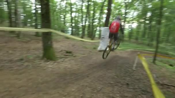 Biker Rast Den Wald — Stockvideo