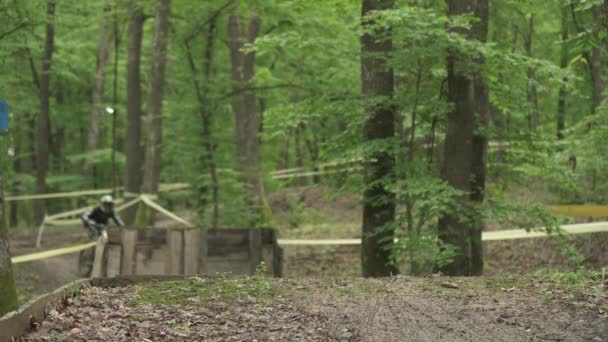 Course Cycliste Dans Forêt — Video