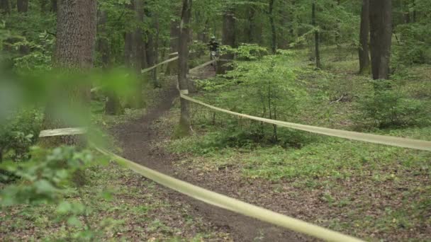 Cyclist Racing Forest — Stock Video