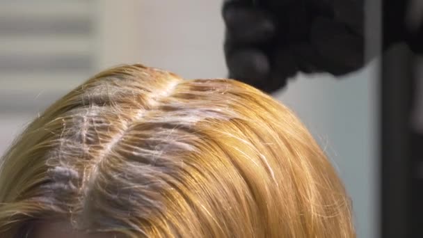 Naisten Hiuksia Värjätään — kuvapankkivideo