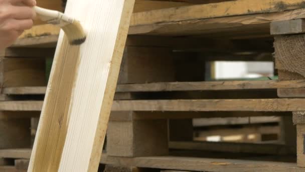 Ein Stück Holz Bemalen — Stockvideo