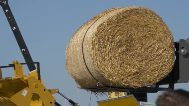 Hangrol Agraria Vakbeurs — Stockvideo