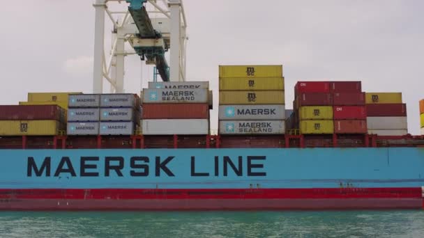 Maersk Line Nákladní Loď — Stock video