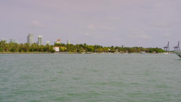 Biscayne Bay Palm Trees Buildings — Stock Video