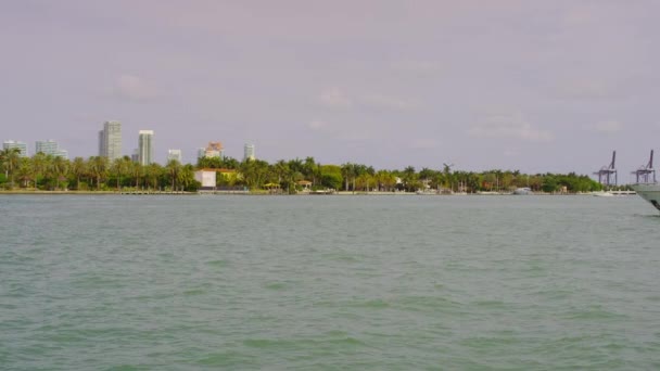 Biscayne Bay Palmami Budovami — Stock video