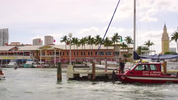 Röd Båt Marinan Miami — Stockvideo