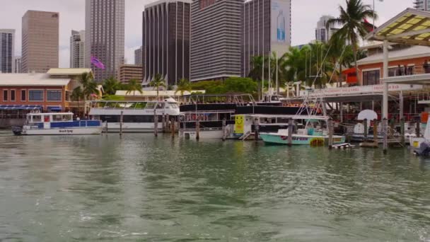 Marina Med Båtar Och Byggnader Miami — Stockvideo