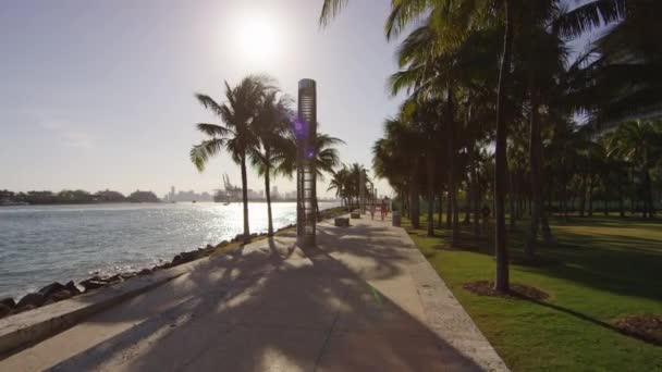 Wybrzeże Miami — Wideo stockowe
