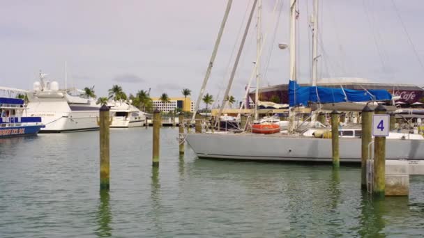 Port Miami Avec Bateaux — Video