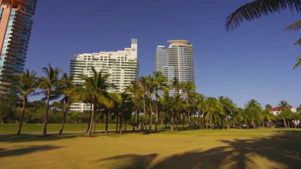 Continuum South Beach Wieża Widziana Miami Beach — Wideo stockowe