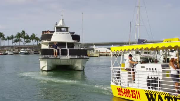 Dos Barcos Navegando Puerto Deportivo — Vídeos de Stock