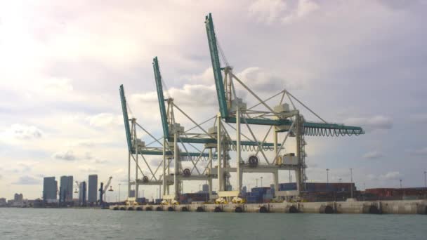 Cargo Cranes Port — Stock Video