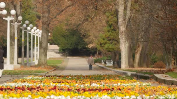 Blumenpark Mit Laternenpfählen — Stockvideo