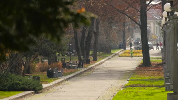 Maribor Şehir Parkı Ndaki Sokak — Stok video