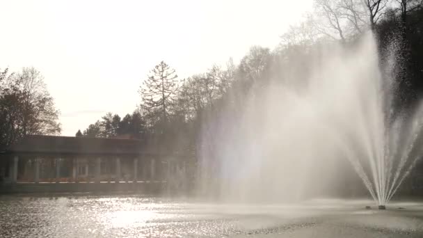 Fontana Nei Pressi Passaggio Nel Parco Della Città Maribor — Video Stock