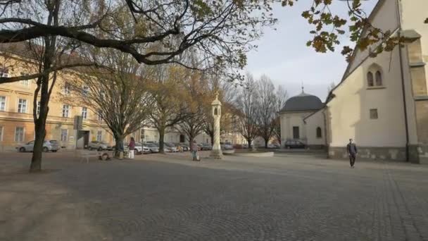 Denkmal Einem Park Maribor — Stockvideo