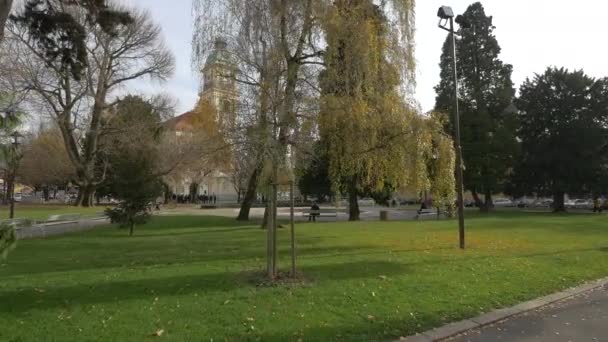 Maribor Şehrine Park — Stok video