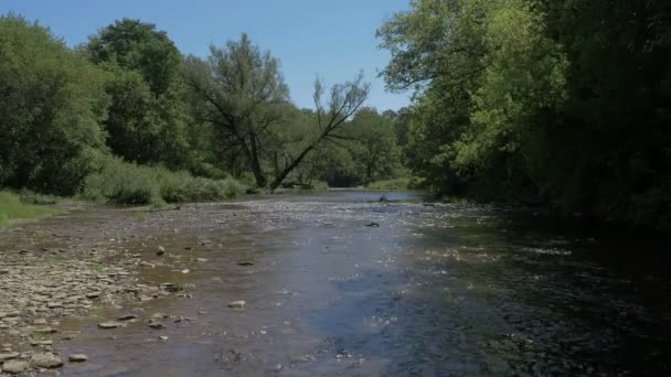 Река Провинциальном Парке Бронте Крик — стоковое видео