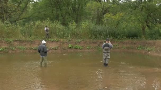 Pessoas Que Pescam Bronte Creek Provincial Park — Vídeo de Stock